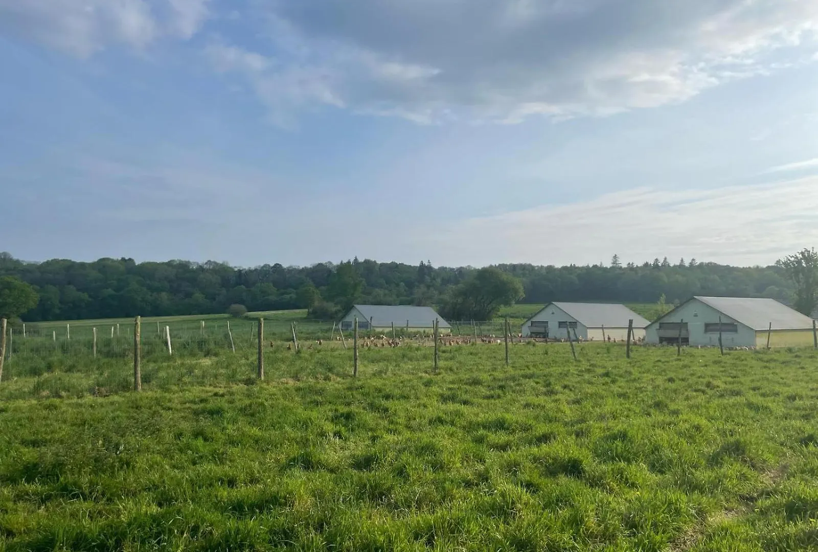 Gite De Penhaudan 3 Pont-Scorff